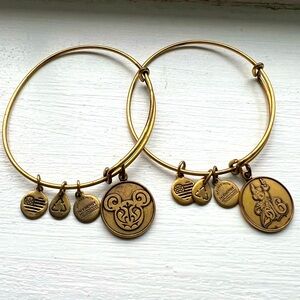Alex & Ani Disney Bracelet(s)